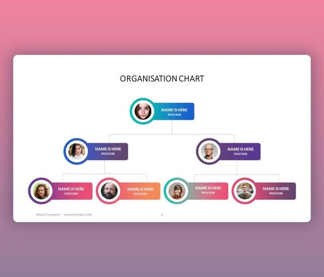 Organization Chart PowerPoint Template