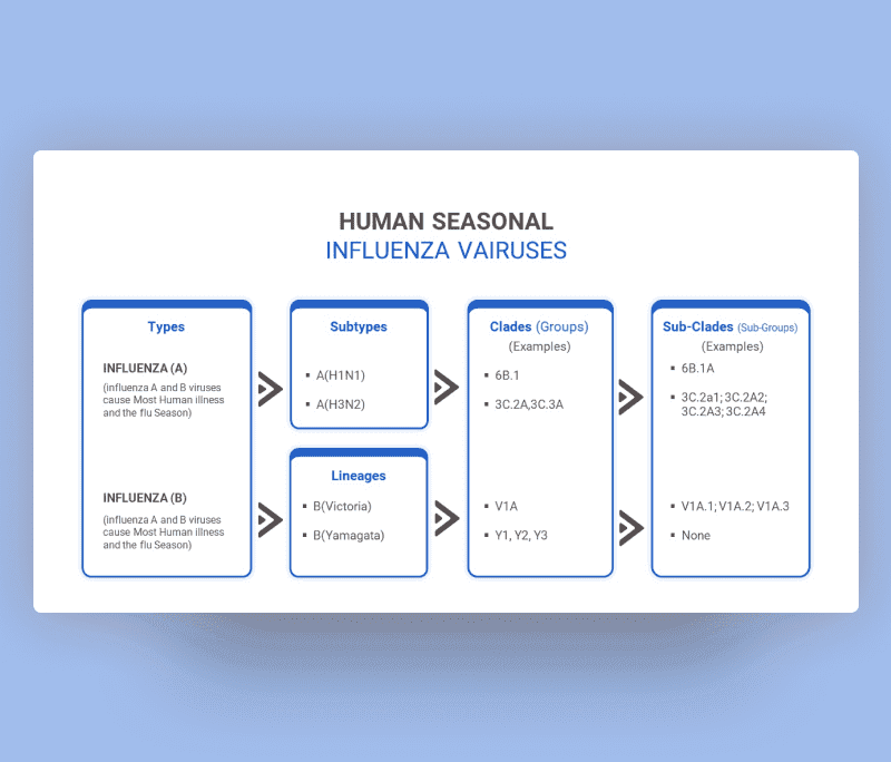 Seasonal Influenza Family PowerPoint Template