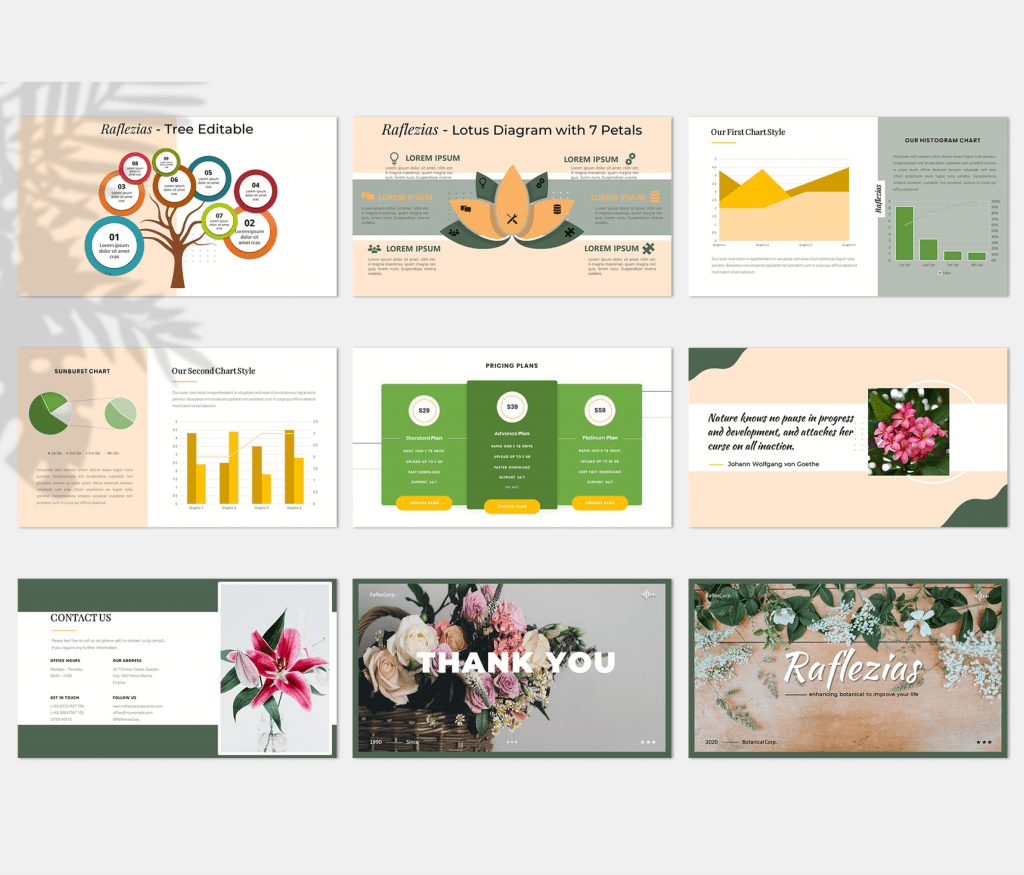 Raflezias – Creative Business Presentation Template