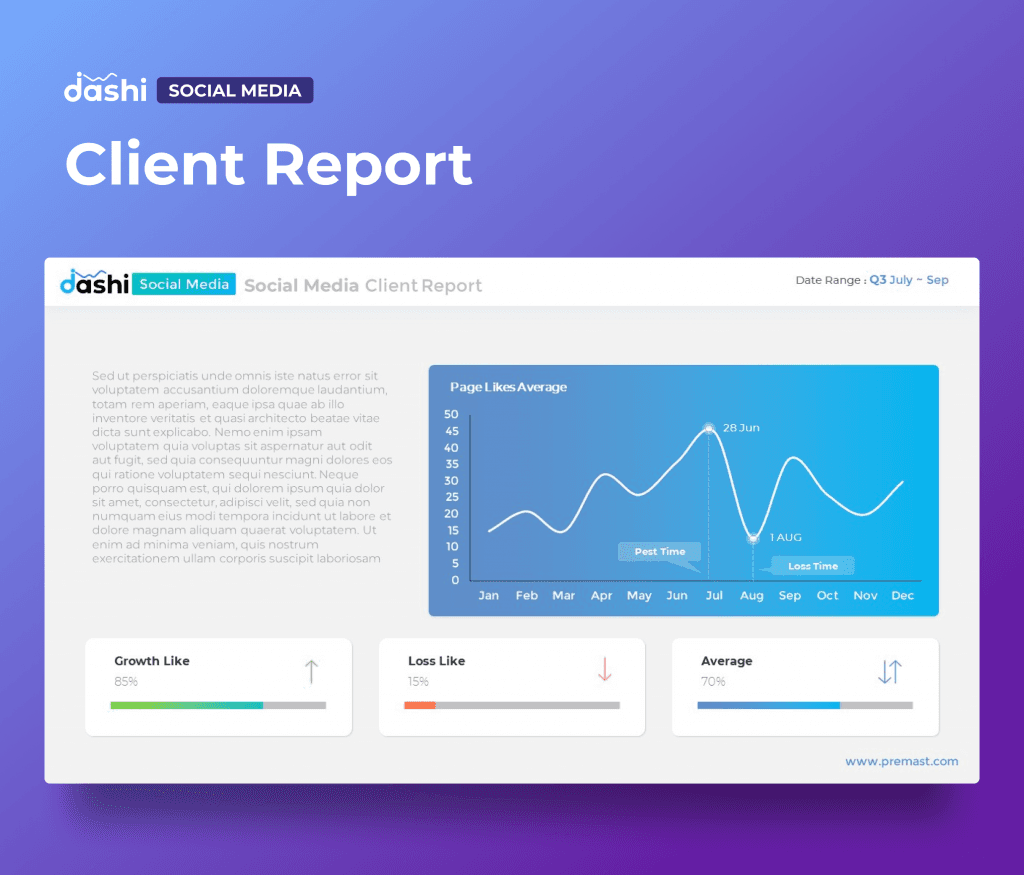 dashi Social Media Dashboard Report Presentation