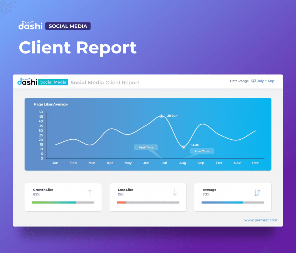 dashi Social Media Dashboard Report Presentation