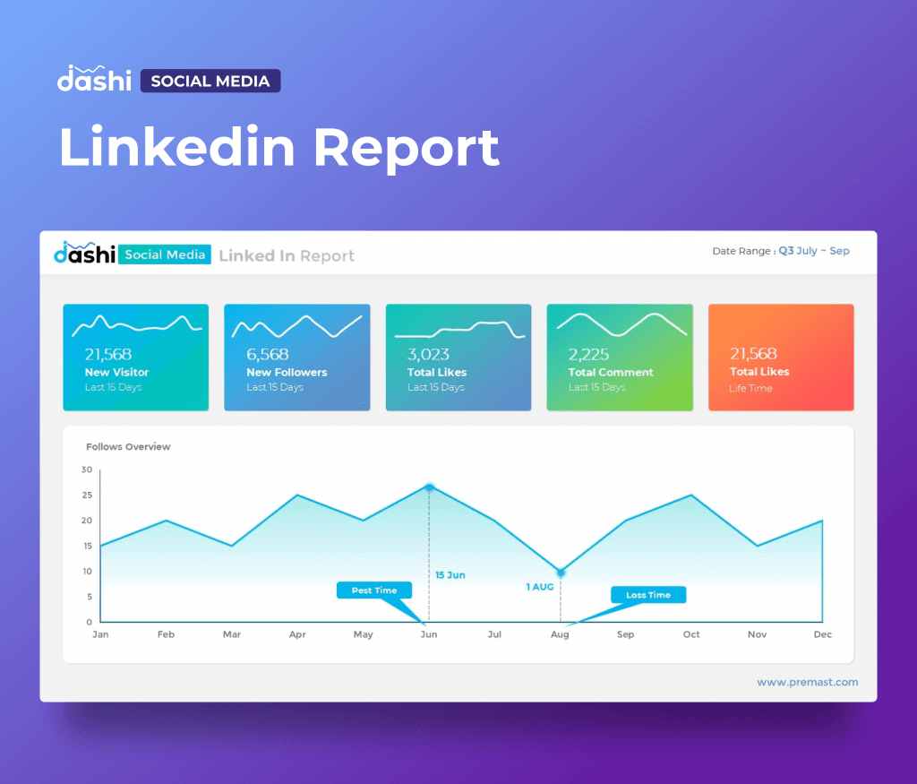 dashi Social Media Dashboard Report Presentation