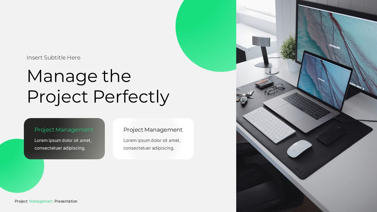 Project Management PPTX