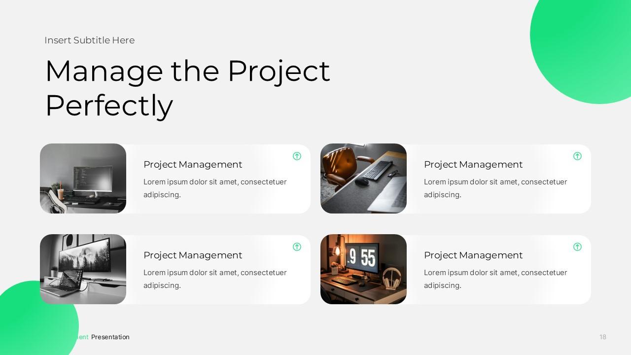 Project Management PPTX