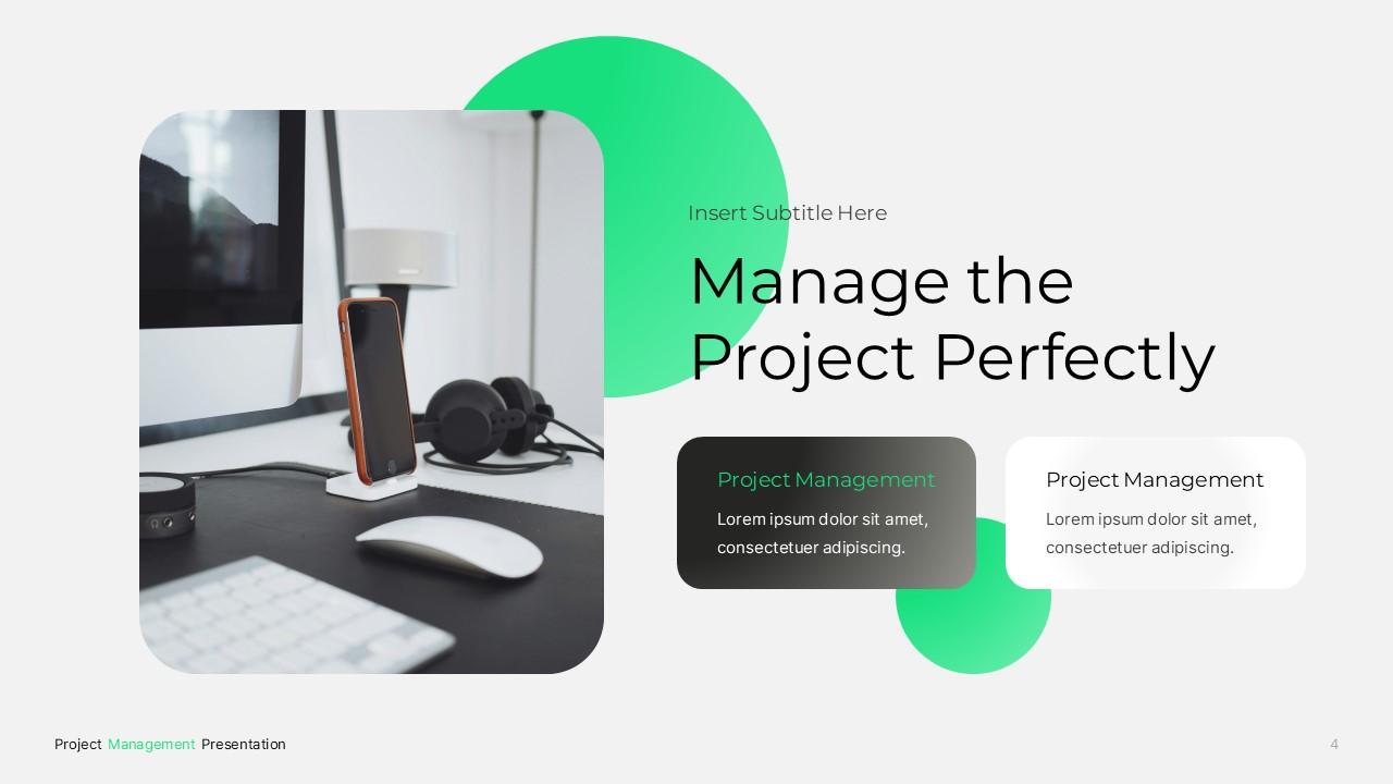 Project Management PPTX