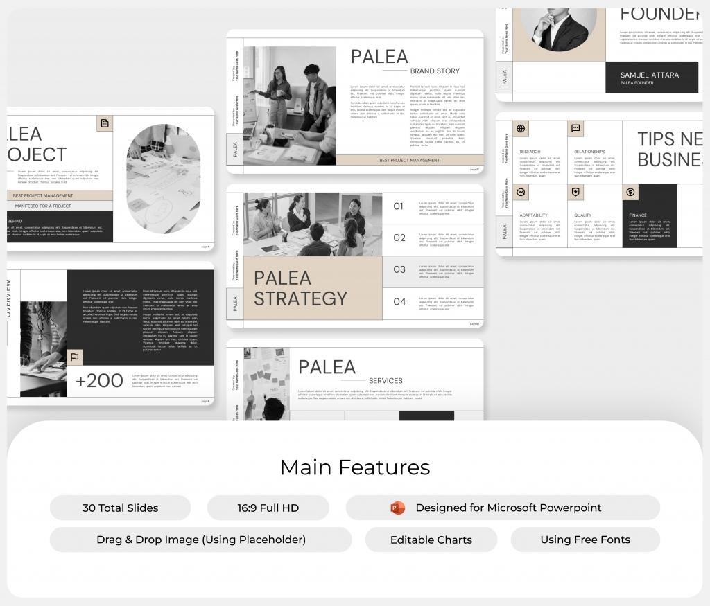 Palea Brand Strategy PowerPoint Presentation Template