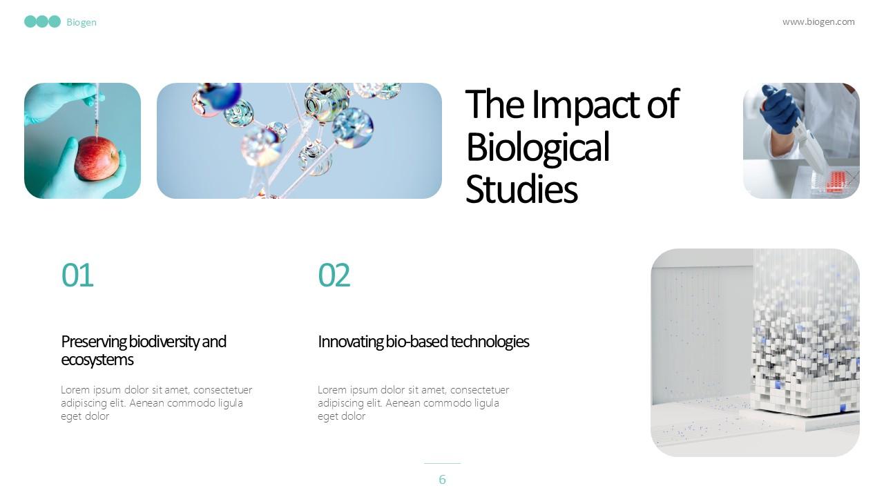 About us