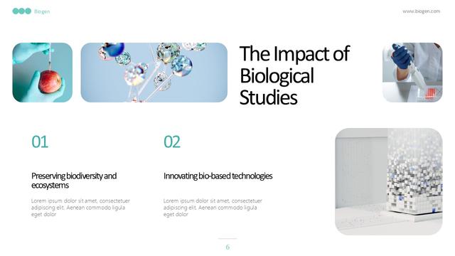 About us