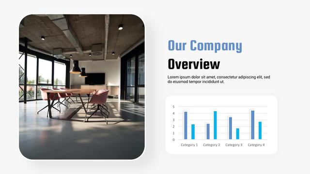 company over view
