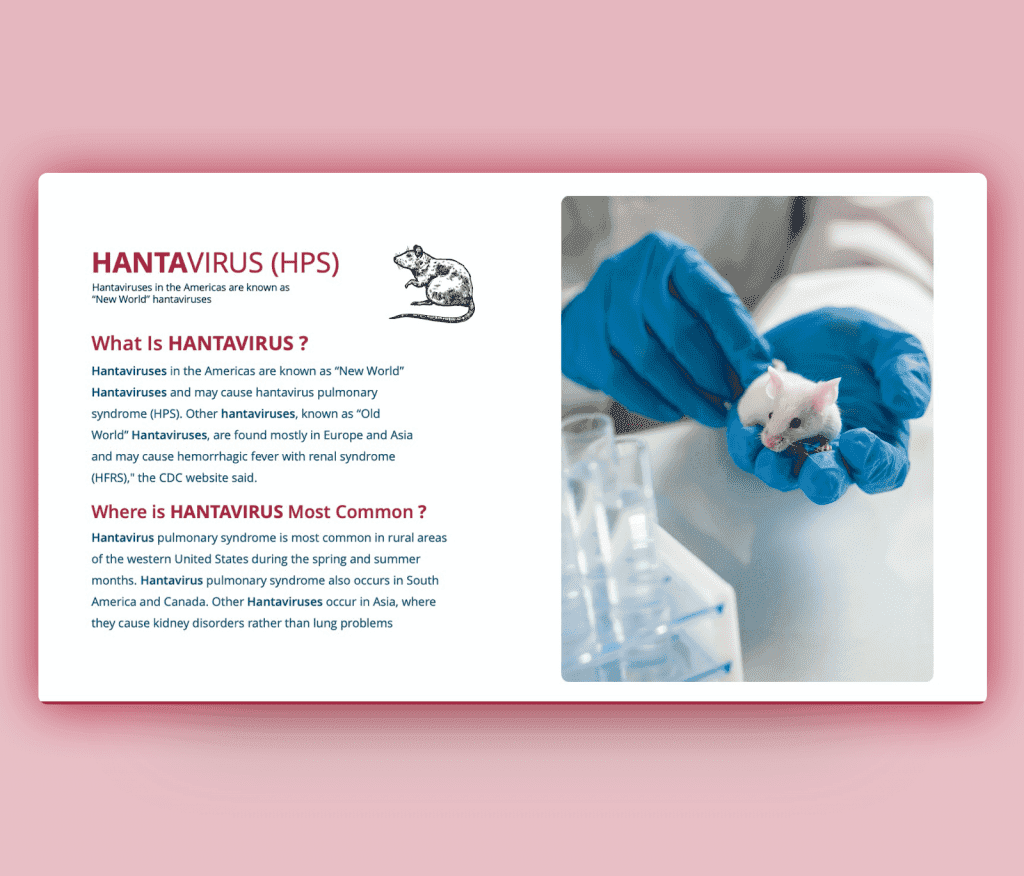 Hantavirus PPT - (HPS) PowerPoint Template