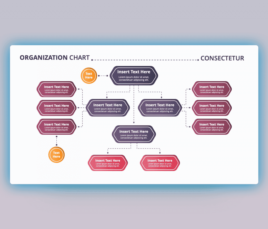 Organization Chart Consectetur PPT Template