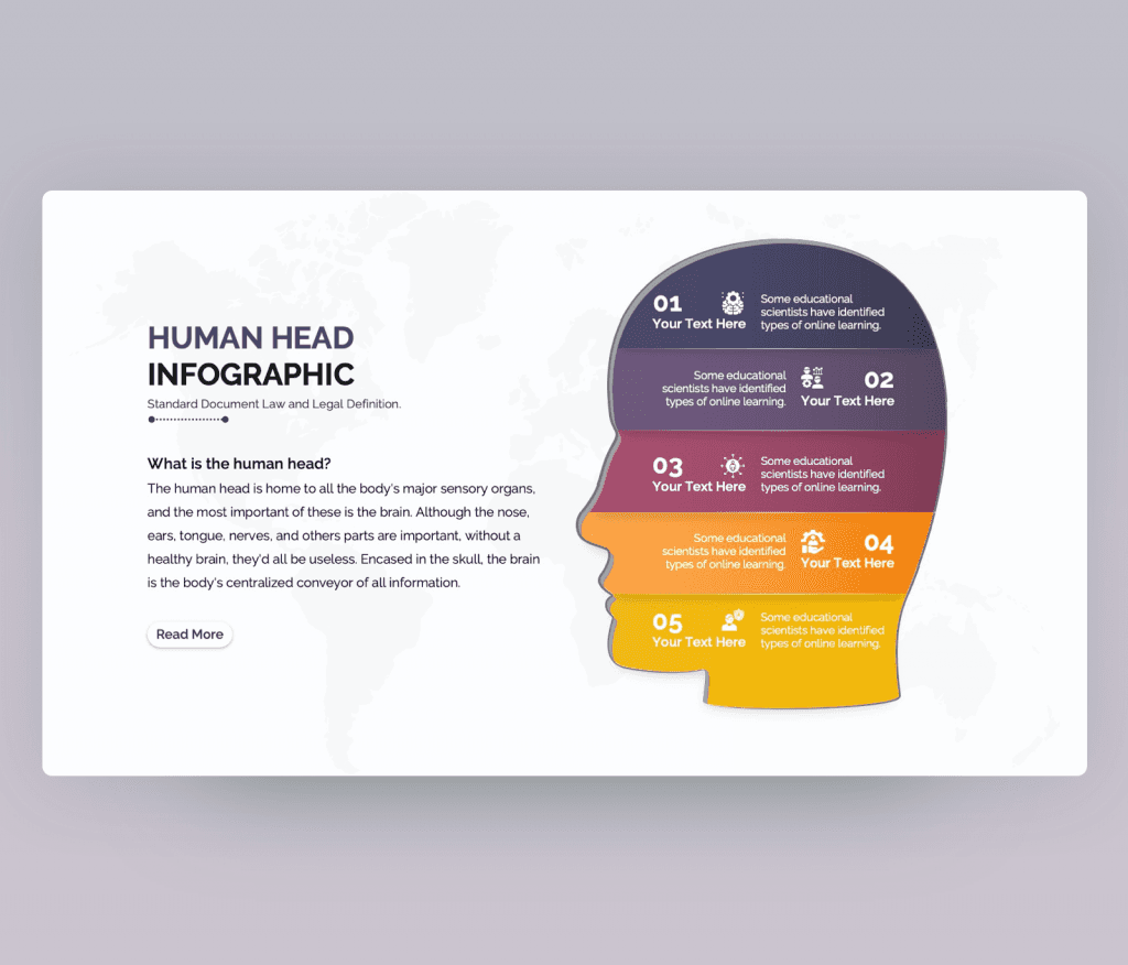 Human head infographic for PowerPoint