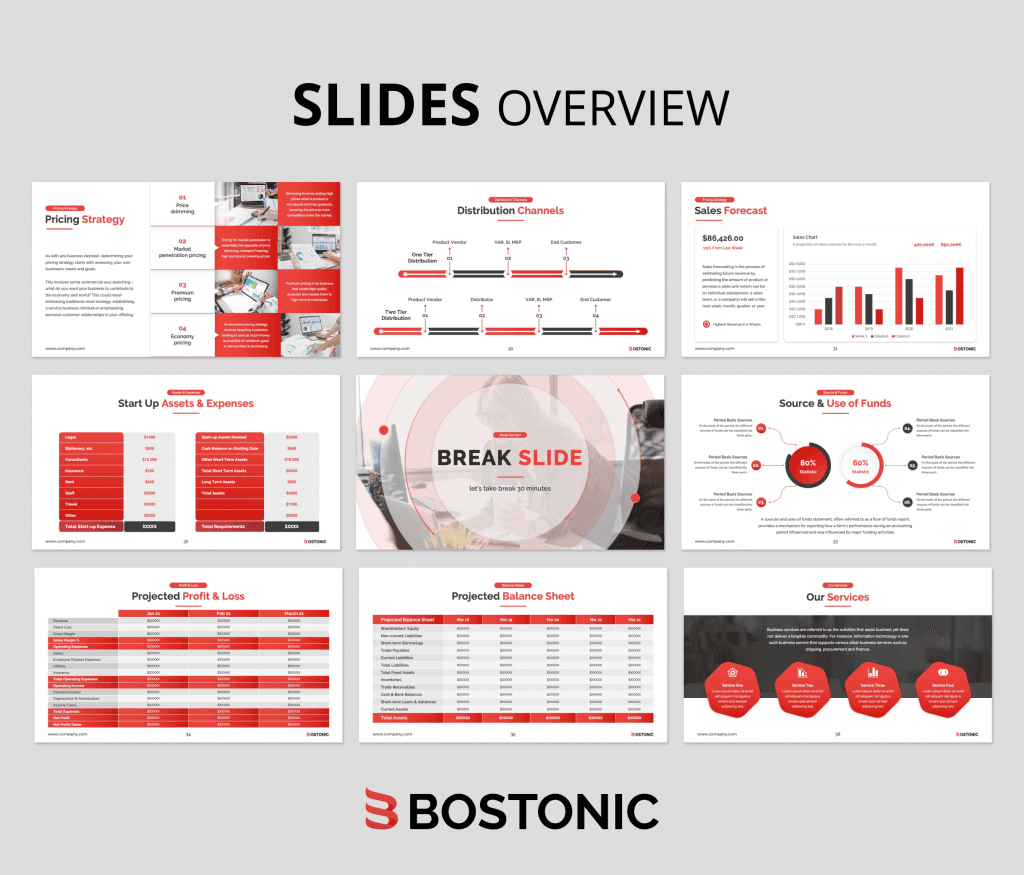 Bostonic Business Plan PowerPoint Presentation Template