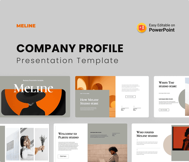 Meline -Company Profile Presentation Template.